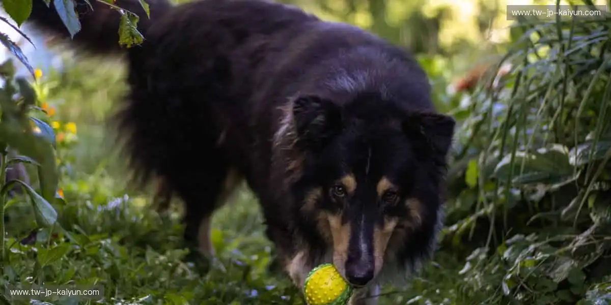 从赛场到生活,热爱不止!🎯 个性周边,让运动精神融入日常!
